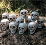 12pcs skulls pack