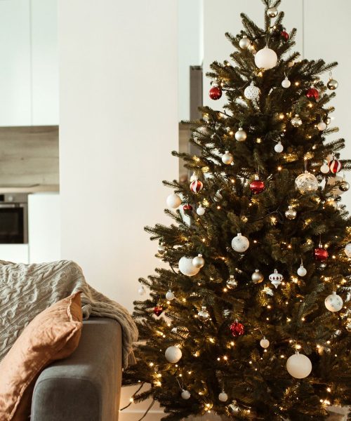 Amazon Christmas Tree: