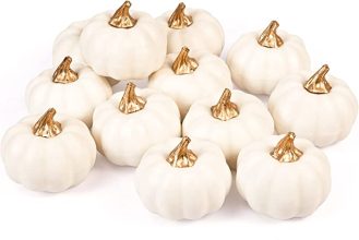 gold and white pumpkins pack