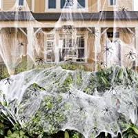 halloween spider web deocr