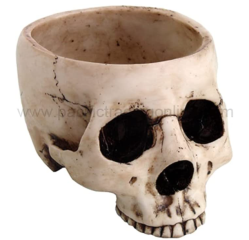 Skull candy bowl
