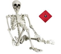 Life size skeleton