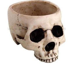 Open Skull Bowl