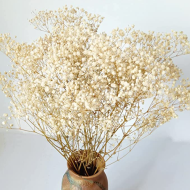 Dried-Babys-Breath-Flowers-Bouquet