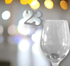 23rd Birthday Ideas