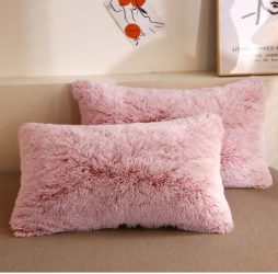 Dorm Room Ideas