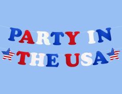 party in the usa party banner