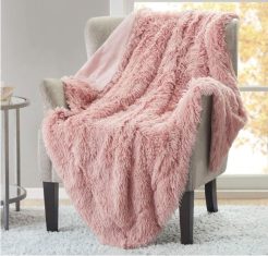 Dorm Room Ideas